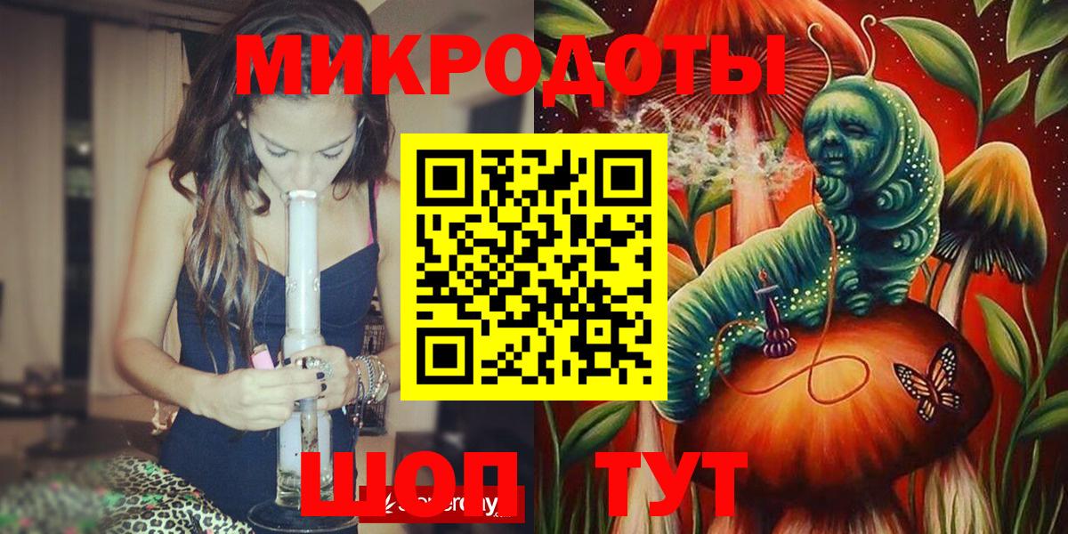 Галлюциногенные грибы Psilocybe Новотроицк