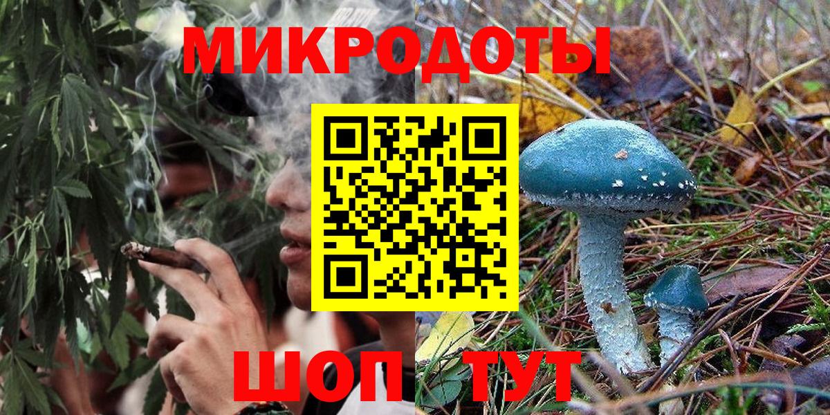 Псилоцибиновые грибы мухоморы  закладки  Новотроицк  Галлюциногенные грибы ЛСД  Вход с VPN 
